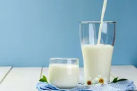 آیا شیر چربی خون را بالا می‌برد؟