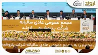 تقسیم سود ۶۰۰ تومانی به ازای هر سهم