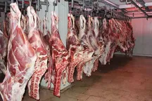 تشریفات گمرکی واردات گوشت حذف شد